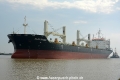 Elar Trader (MB-050715-07).jpg