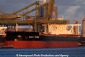 Vale Sohar (JS-110114-03).jpg