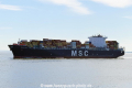 MSC Pina (OK-170816-1).jpg