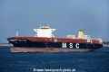 MSC Sasha OS-160816-31.jpg