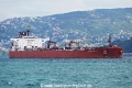 Stealth Haralambos (OK-270823-2).jpg