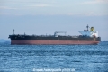 Southern Glory OS-031019.jpg