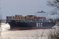 MSC Roma (300308-01).jpg