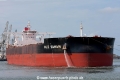 Vale Saham (MM-140814-3).jpg