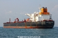 Southern Spirit (MS-230714-06).jpg