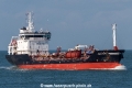 Fenno Swan SH-171019-01.jpg