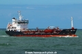 Feo Swan TL-280720-1.jpg