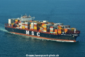 MSC Sara Elena HK-100117-2.jpg