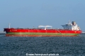 SKS Demini SH-190120-01.jpg