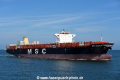 MSC Sasha OS-160816-15.jpg