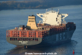 MSC Sasha 031116-05.jpg