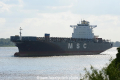 MSC Paris 080615-01.jpg