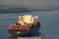 MSC Sasha 031116-06.jpg