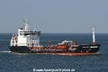 Fenno Swan JG-180918-01.jpg