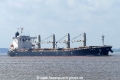 Elpida GR (KK-100617-1).jpg
