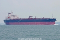 Starling (TJ-251008).jpg