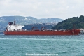 Stealth Haralambos (OK-270823-3).jpg
