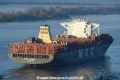 MSC Sasha 031116-03.jpg