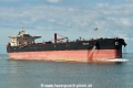 Stellata HK-210922-2.jpg