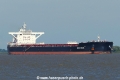 Wish Star (KK-310816-0).jpg