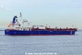Hafnia Violette (MB-090826-7).jpg