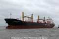 Energy Ivy (MB-081213-09).jpg