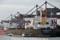 Vogebulker (KB-D250112-01).jpg