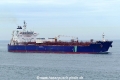 Hafnia Violette (MB-090826-5).jpg