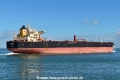 Stellata HK-210922-3.jpg