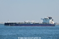 STI Lavender OS-120822-06.jpg