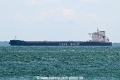 XH Mega OS-011124-1.jpg