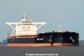 Wish Star KH-310816-4.jpg