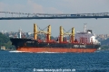 Energy Ivy (OK-260714-2).jpg