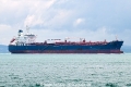 Hafnia Violette OS-101024-04.jpg