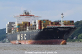 MSC Tomoko TL-160714-3.jpg