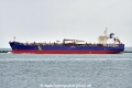 Hafnia Andesine (OK-220825-1).jpg