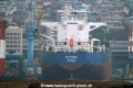 Vittoria (MS-120815).jpg