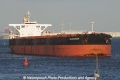 Vogerunner 010611-03.jpg