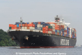 NYK Lyra 080710-04.jpg