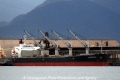 Falcon Trader 1 RV-190413.jpg