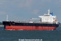 Sunda SH-310721-01.jpg