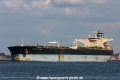 United Dynamic (MM-040814-1).jpg