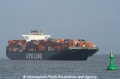 NYK Vega (SW-130107-18).jpg