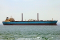 Maersk Pelican (MS-100419-14).jpg