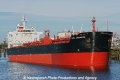 Mare Ambassador (KB-D091011-06).jpg