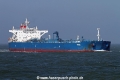 True SH-160314-01.jpg