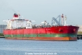 Torm Gabriella SH-040824-01.jpg