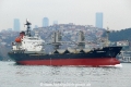 Harmony S (OK-060214-1).jpg