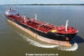 Magic Star TL-220823-8.jpg