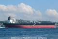 Tony (OK-120711-3).jpg